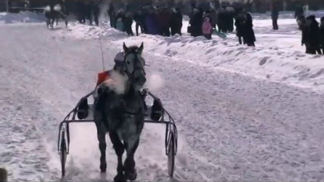 Верхняя Тура 8марта конно-спортивные состязания смотреть онлайн