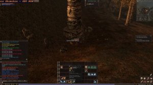 Lineage 2: Flauron спот для споила 30-40 лвл (Точки)