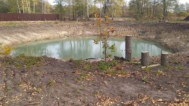 Пруд на участке. Пруд из грунтовых вод. Естественный пруд. Естественный водоем. Водоем на участке. смотреть онлайн