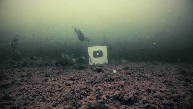 ШОК! ПТИЦА АТАКУЕТ КАРАСЯ! Рыбалка и подводная съемка смотреть онлайн