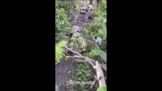 Спецназ РФ. Взяли жёлтых в плен. . смотреть онлайн