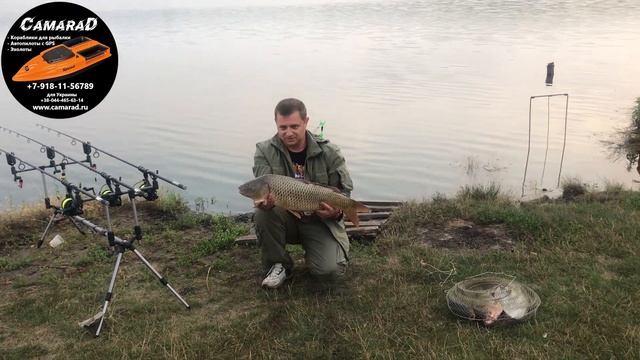 Отзыв клиента CamaraD. Трофейный карп на 5,5 кг. «Красная горка». Гостагаевская. смотреть онлайн