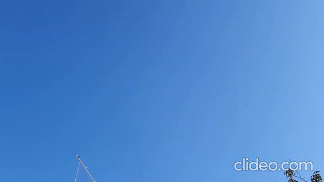 Тренировки начались смотреть онлайн