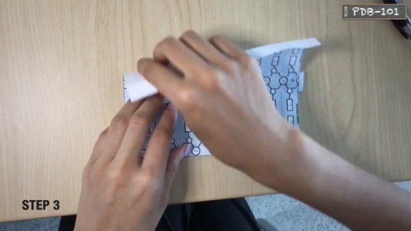 Building the Paper Model of DNA