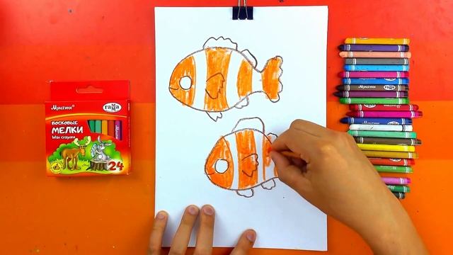 НЕМО как нарисовать рыбок - уроки рисования от РыбаКит смотреть онлайн