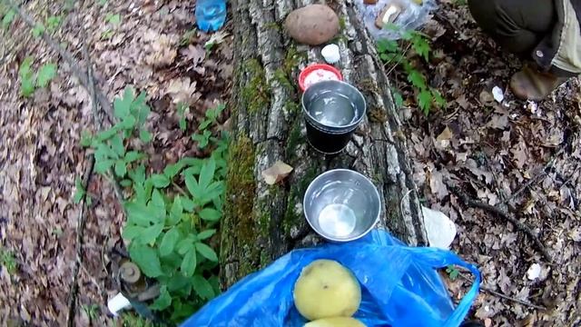 МАЙСКИЙ ЛЕС.КОП С ХР ДЕУС смотреть онлайн