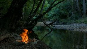 Нужно ли поливать морковь после посева?