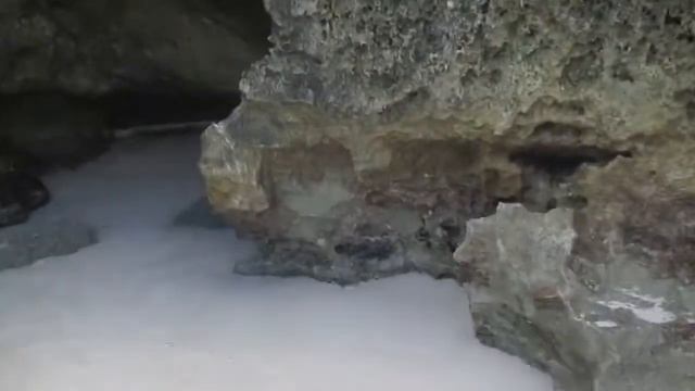 Cruise/Bermuda Vlog! (Day 2) смотреть онлайн