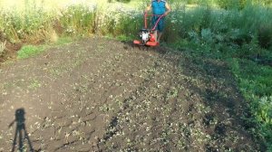 Мотоблок Корона Обратная связь с производителем работает!!!