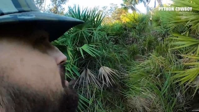My Lead Hog Dog Moose Caught A Big Rank Boar Hog смотреть онлайн