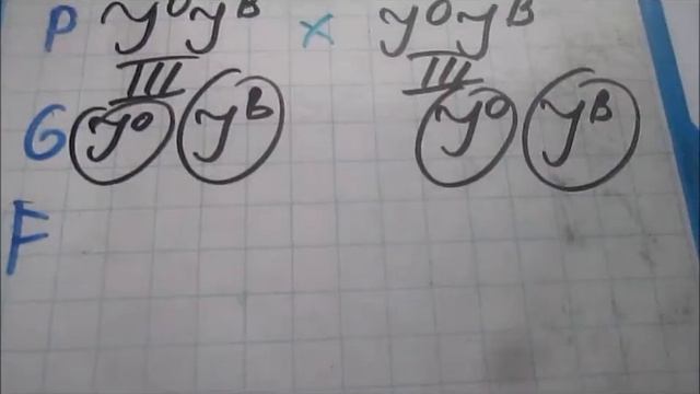 Почему группы крови часто не совпадают у родителей и детей? Как они наследуются?