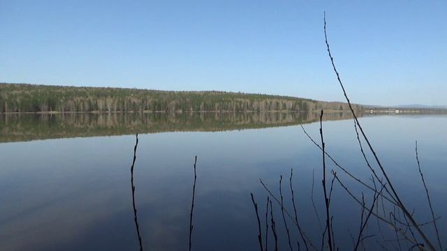 Лебеди смотреть онлайн