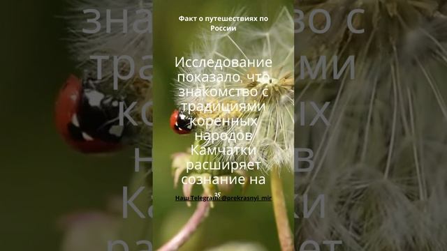 Факт о путешествиях по России смотреть онлайн