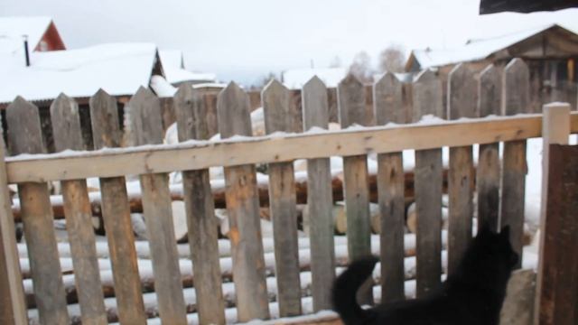 Праздник каждый день или деревенские футурологи смотреть онлайн