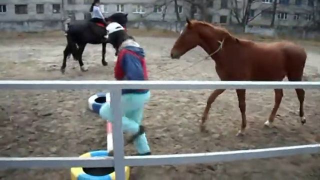 Хай Хоуп - High Hope - Хани - Кавалетти.mpg смотреть онлайн