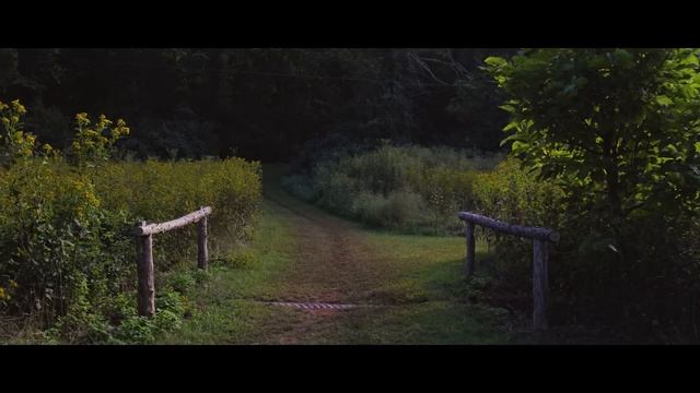 Canon 5D Mark IV 4K Test смотреть онлайн