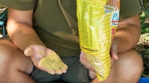 РЫБАЛКА НА КАРПА ЛЕТОМ. На что ловить карпа в жару?