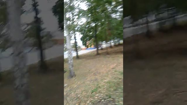 Ялта Зай 2017 смотреть онлайн