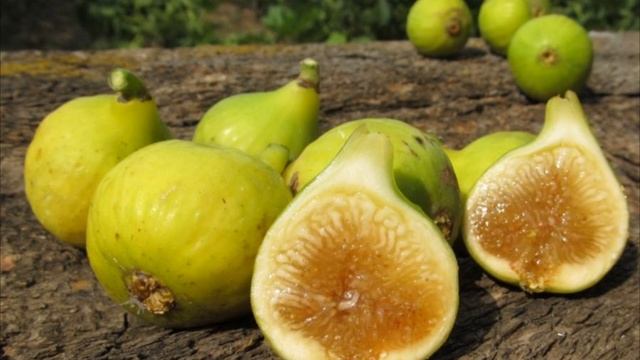 Инжир полезные советы смотреть онлайн