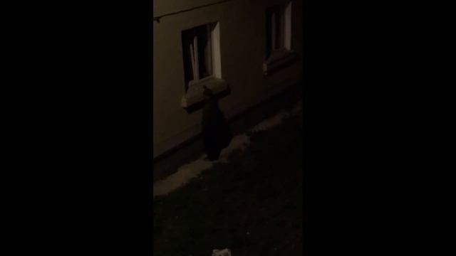 +100500 - Сушим Дорожные Ямы Губкой