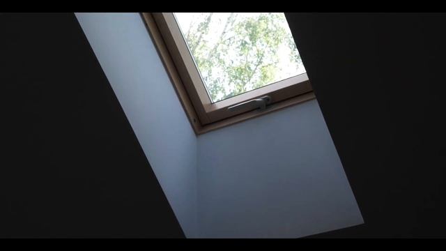 20 мансардных окон в спортзале смотреть онлайн