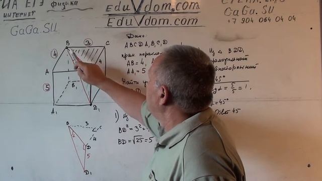Стереометрия. ЕГЭ. Найдите угол DBD1 прямоугольного параллелепипеда смотреть онлайн