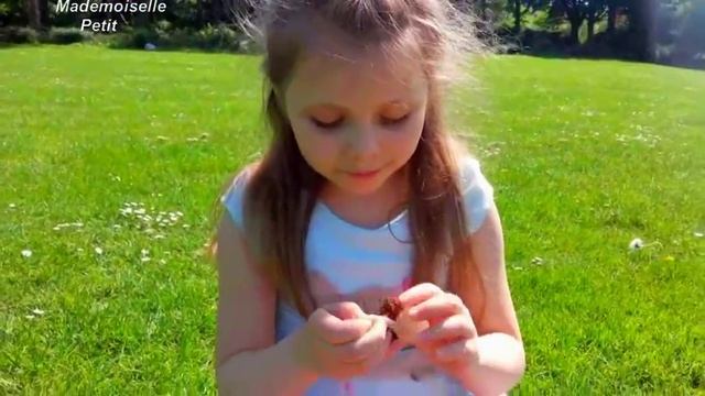 экзотические фрукты рамбутан смотреть онлайн