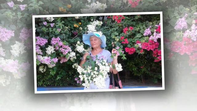 Нины юбилей смотреть онлайн
