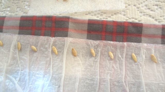 РАССАДА 2022! ВСЕ СПОСОБЫ ПОСЕВА СЕМЯН в одном фильме! ( 1 часть ) Самокрутки, самодельные стаканы смотреть онлайн