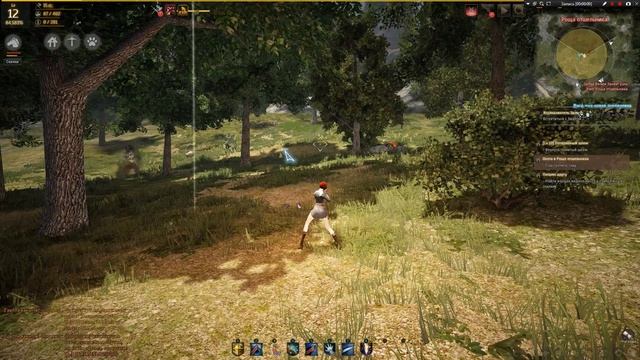 Black Desert охота в роще отшельника смотреть онлайн