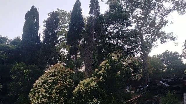 Вечерний вид с ресторана "Балкон". Гудаута. 6 июля 2023. смотреть онлайн