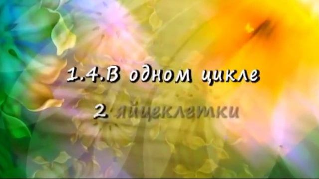 Месячные при беременности! Реально ли подобное? смотреть онлайн