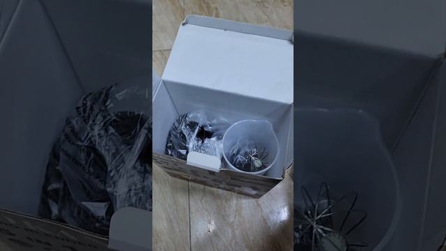 هاند بلندر ال 5 ف 1 من سوكاني بقوه 800 وات SK1714-5 смотреть онлайн