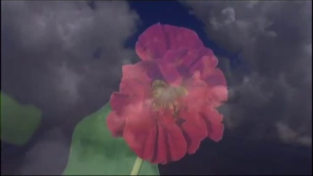 А.Киреев и Диана Гурцкая - Ангелы надежды.mp4 смотреть онлайн