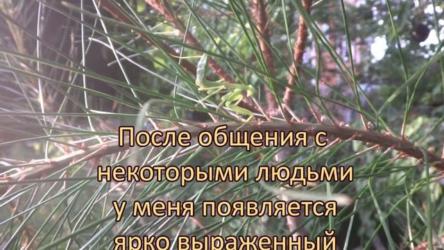 Афоризмы о дураках и идиотах.Цитаты, которые пригодятся в жизни смотреть онлайн
