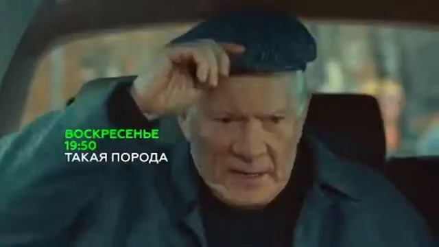 Такая порода 2016