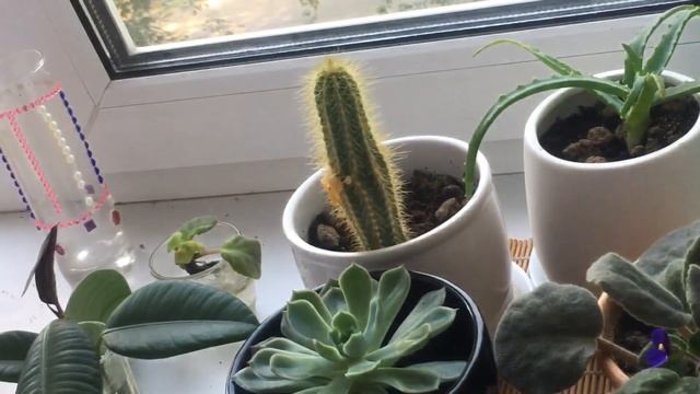 ?Мои хобби? идеи хобби для вас? смотреть онлайн