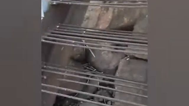 Случай на рыбалке.Рыбалка под Высоцком, в районе Выборга. Норка- попрошайка смотреть онлайн
