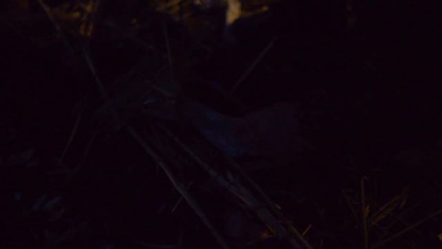 Рыбалка Волга Раскаты Весна 2016