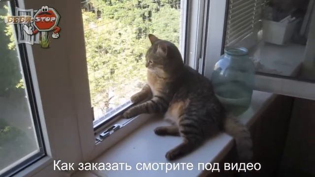 Антикошка для защиты окна КОТ БЕБИ Стоп смотреть онлайн
