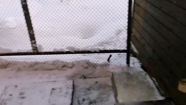 Зимняя поездка в Республику Карелия. Новогодние приключения. смотреть онлайн