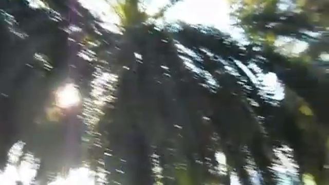 Отель Лучезарный, Гагра смотреть онлайн