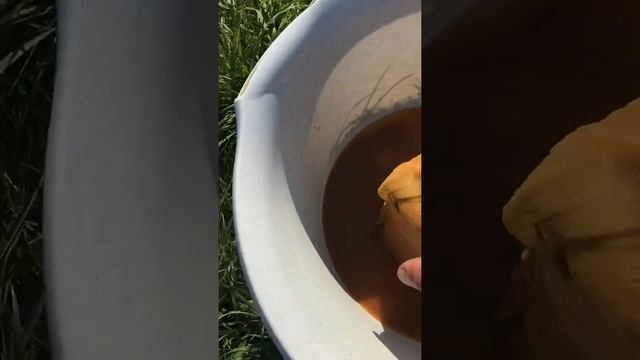 Часть 4. Простой фильтр для очистки воды в бассейне. смотреть онлайн