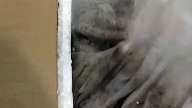 Получение новых технологических червей Динетта