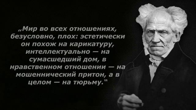 Шопенгауэр, От этих слов я прозрел! Цитаты которые стоит послушать! смотреть онлайн