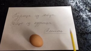 Как заставить курей нестись?! Данный простой шепоток Вам в помощь!