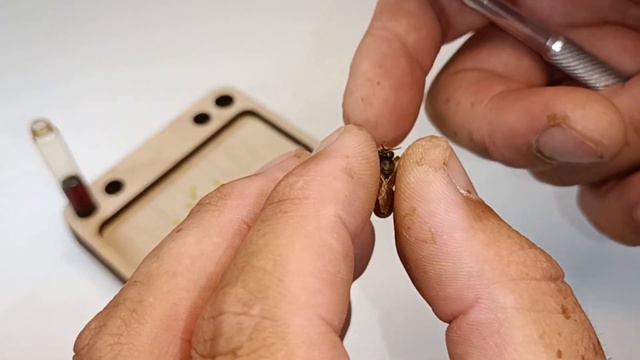 Внимание матководам!!! смотреть онлайн