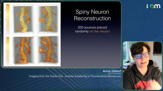 Anna Gilbert - Imaging from the Inside Out - Inverse Scattering in Fluorescence Microscopy смотреть онлайн