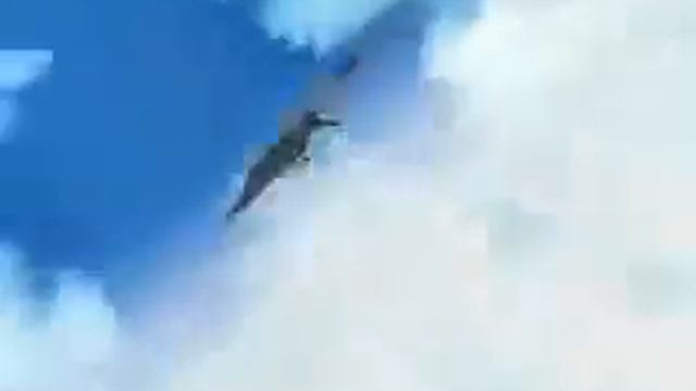 naruto delta delta- lilians safari смотреть онлайн