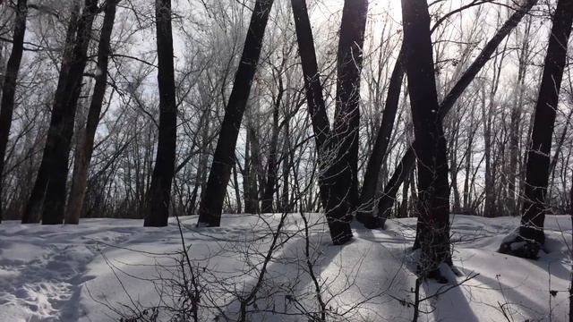 Актобе. р.Каргала 15.02.2015 год смотреть онлайн